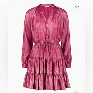 Robert Graham Sydney Metallic Tiered Minidress